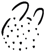 Image of the occurrence
